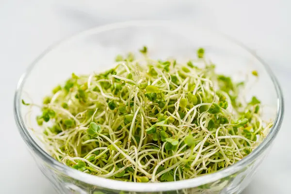 Broccoli sprouts isolated on white background