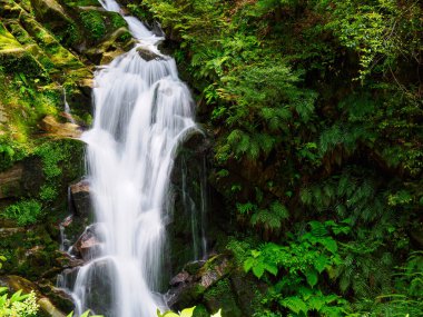 Küçük şelale, küçük su akıntısı
