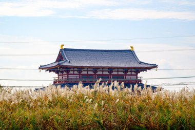 Nara palace site historical park 'Heijo-kyo' in Nara City, Nara Prefecture in Japan. (Taken on 11-17-2022) clipart