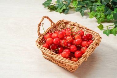 Japon kirazları, taze tatlı kirazlar