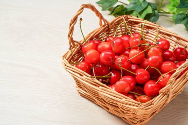 Japon kirazları, taze tatlı kirazlar