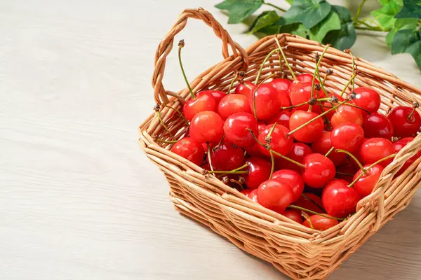 Japon kirazları, taze tatlı kirazlar