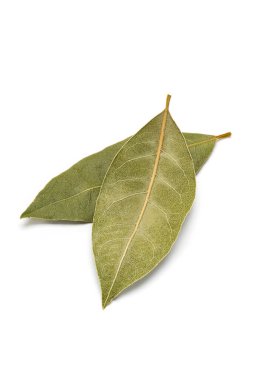 Beyaz arkaplanda defne yaprağı