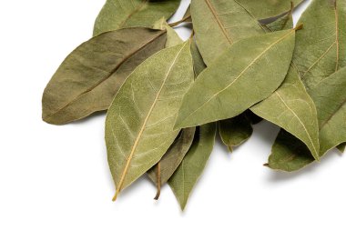 Beyaz arkaplanda defne yaprağı