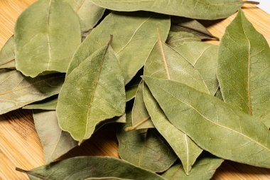 Beyaz arkaplanda defne yaprağı