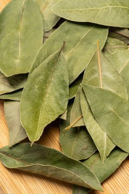 Beyaz arkaplanda defne yaprağı