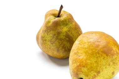 Beyaz armut taze armutlar