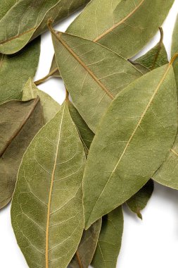 Beyaz arkaplanda defne yaprağı