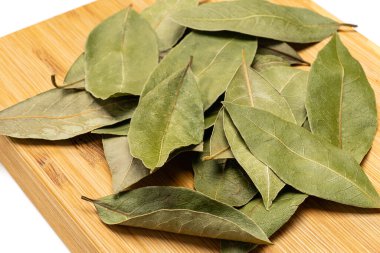 Beyaz arkaplanda defne yaprağı