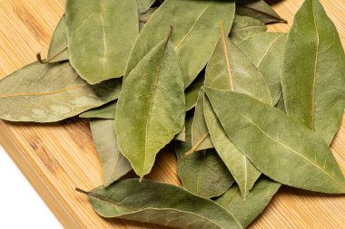 Beyaz arkaplanda defne yaprağı