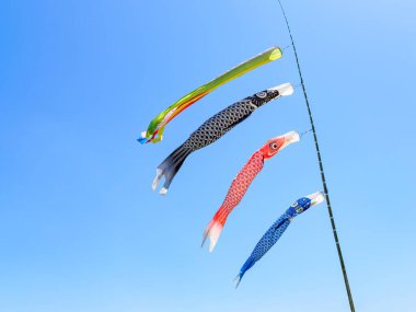 Japon 'Koinobori', renkli sazan balığı şeritleri