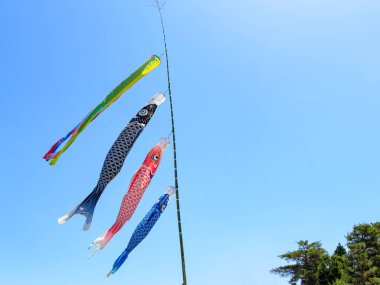 Japon 'Koinobori', renkli sazan balığı şeritleri