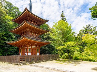 Nara 'daki Ryousen-ji Tapınağı, Japonya' daki Nara Bölgesi. (06-25-2025 'te çekildi.)