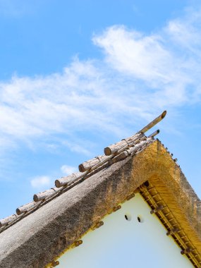 Japon geleneksel sazanı