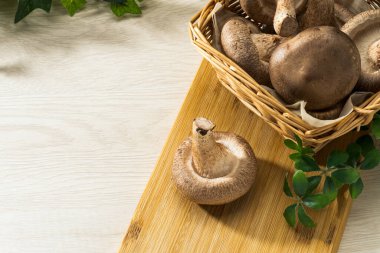 Tahtada taze Shiitake mantarı.