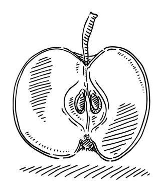 Hand-drawn vector drawing of a Apple Fruit Cut In Half. Black-and-White sketch on a transparent background (.eps-file). Included files are EPS (v10) and Hi-Res JPG.