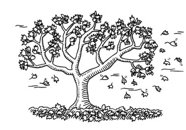 Hand-drawn vector drawing of a Autumn Tree with Falling Leaves and Windy Weather. Black-and-White sketch on a transparent background (.eps-file). Included files are EPS (v10) and Hi-Res JPG.