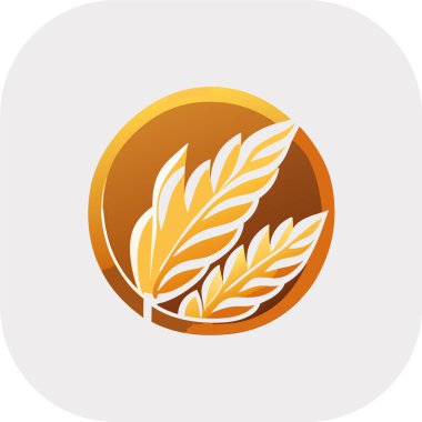 Buğday ve mısır ikonu, beyaz arkaplan, tarım sembolü, buğday ikonu vektör logo tasarımı, Tarım Logo Şablonu tasarımı.