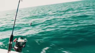 Uçsuz bucaksız açık denize karşı kurulmuş dinamik bir olta videosu derin deniz balıkçılığının heyecanını ve heyecanını gözler önüne seriyor. Açık hava aktiviteleri, okyanus keşfi ve balığın barışçıl ama heyecan verici doğası ile ilgili konular için idealdir..