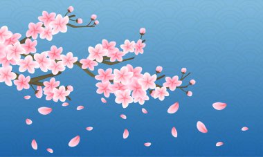 Çin 'in yeni yıl şablonu mavi desenli ve pembe Sakura Ağaç Dalları.