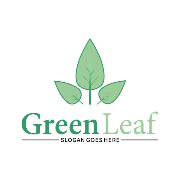 Green Leaf Öko Logo Design Vektor Vorlage — Stockvektor