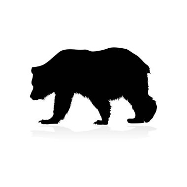 Beyaz arkaplanda izole edilmiş vektör ayı silueti Bear simgesi modern logosu