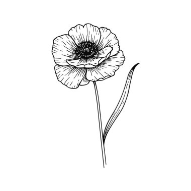 El çizimi dallar ve çiçek açar. Davetiye için zarif kır çiçekleri. Tarih kartını sakla.