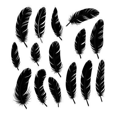 Vektör Tüy Simgeleri koleksiyonu. Beyaz arkaplanda siyah tüy silueti