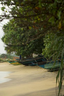 Kültürel kodu ve kimliği olan orijinal Sri Lanka. Trafik, ulusal ve dini gelenekler, binalar ve doğa. Palmiye ağaçları ve okyanus. Adadaki kumsal.