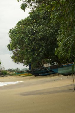 Kültürel kodu ve kimliği olan orijinal Sri Lanka. Trafik, ulusal ve dini gelenekler, binalar ve doğa. Palmiye ağaçları ve okyanus. Adadaki kumsal.