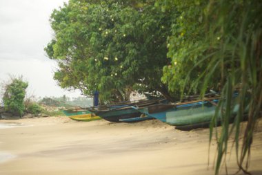 Kültürel kodu ve kimliği olan orijinal Sri Lanka. Trafik, ulusal ve dini gelenekler, binalar ve doğa. Palmiye ağaçları ve okyanus. Adadaki kumsal.