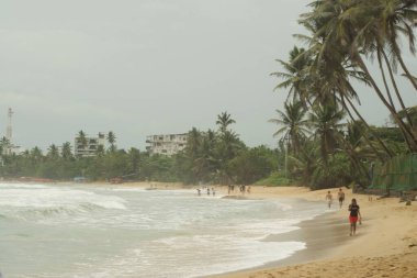 Kültürel kodu ve kimliği olan orijinal Sri Lanka. Trafik, ulusal ve dini gelenekler, binalar ve doğa. Palmiye ağaçları ve okyanus. Adadaki kumsal.