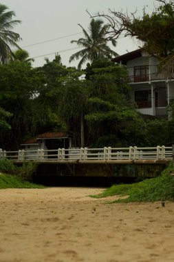 Kültürel kodu ve kimliği olan orijinal Sri Lanka. Trafik, ulusal ve dini gelenekler, binalar ve doğa. Palmiye ağaçları ve okyanus. Adadaki kumsal.