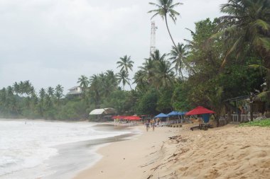 Kültürel kodu ve kimliği olan orijinal Sri Lanka. Trafik, ulusal ve dini gelenekler, binalar ve doğa. Palmiye ağaçları ve okyanus. Adadaki kumsal.