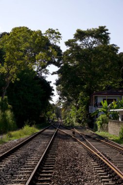 Kültürel kodu ve kimliği olan orijinal Sri Lanka. Trafik, ulusal ve dini gelenekler, binalar ve doğa. Palmiye ağaçları ve okyanus. Adadaki kumsal.