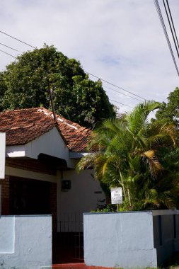 Kültürel kodu ve kimliği olan orijinal Sri Lanka. Trafik, ulusal ve dini gelenekler, binalar ve doğa. Palmiye ağaçları ve okyanus. Adadaki kumsal.