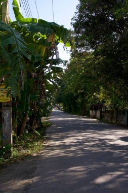 Kültürel kodu ve kimliği olan orijinal Sri Lanka. Trafik, ulusal ve dini gelenekler, binalar ve doğa. Palmiye ağaçları ve okyanus. Adadaki kumsal.