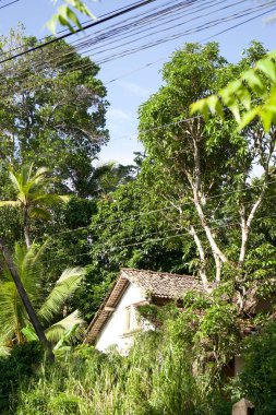 Kültürel kodu ve kimliği olan orijinal Sri Lanka. Trafik, ulusal ve dini gelenekler, binalar ve doğa. Palmiye ağaçları ve okyanus. Adadaki kumsal.