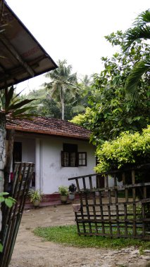 Kültürel kodu ve kimliği olan orijinal Sri Lanka. Trafik, ulusal ve dini gelenekler, binalar ve doğa. Palmiye ağaçları ve okyanus. Adadaki kumsal.