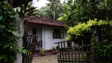 Kültürel kodu ve kimliği olan orijinal Sri Lanka. Trafik, ulusal ve dini gelenekler, binalar ve doğa. Palmiye ağaçları ve okyanus. Adadaki kumsal.