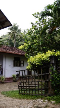 Kültürel kodu ve kimliği olan orijinal Sri Lanka. Trafik, ulusal ve dini gelenekler, binalar ve doğa. Palmiye ağaçları ve okyanus. Adadaki kumsal.