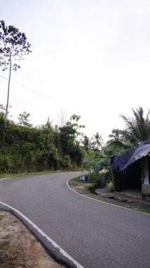 Kültürel kodu ve kimliği olan orijinal Sri Lanka. Trafik, ulusal ve dini gelenekler, binalar ve doğa. Palmiye ağaçları ve okyanus. Adadaki kumsal.