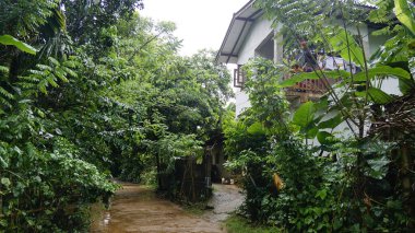 Kültürel kodu ve kimliği olan orijinal Sri Lanka. Trafik, ulusal ve dini gelenekler, binalar ve doğa. Palmiye ağaçları ve okyanus. Adadaki kumsal.