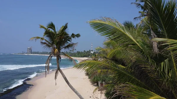 Relaxace Pláži Palmy Pobřeží Oceánu Kokosové Ořechy Krásný Výhled — Stock fotografie