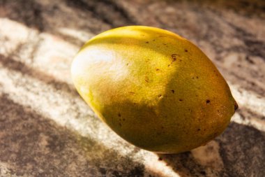Mangoes, isolated shot during sunset, in a granite sink