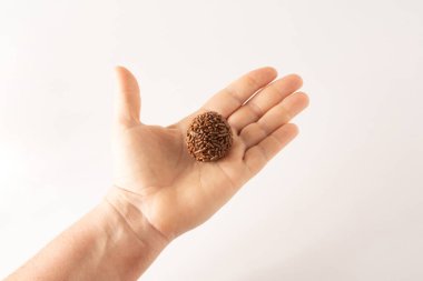 Çikolatalı yer mantarı topları. Brigadeiro çikolata taneleri. Önden temiz bir arka plan.