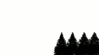 Beyaz arka planda siluet noel ağacı. Silüet mutlu noeller. Rüzgar beyaz ekran. Animasyon için dizayn, ağaç noeli, izole, siluet formu, ağ, 