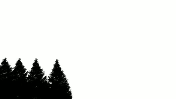 Σιλουέτα Χριστουγεννιάτικο Δέντρο Λευκό Φόντο Σιλουέτα Καλά Χριστούγεννα Σκηνή Άνεμος — Αρχείο Βίντεο