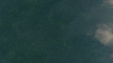 environment natural river water sustainable. aerial top down view of environmental, drone fly over topical river, nature, landscape, jungle, 3d render animation. footage for world environment day.