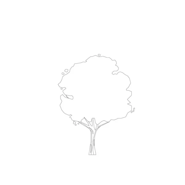 Baumlinien Zeichnung Seitenansicht Grafik Bäume Elemente Einzelobjekt Umreißen Minimale Pflanzensymbol — Stockvektor